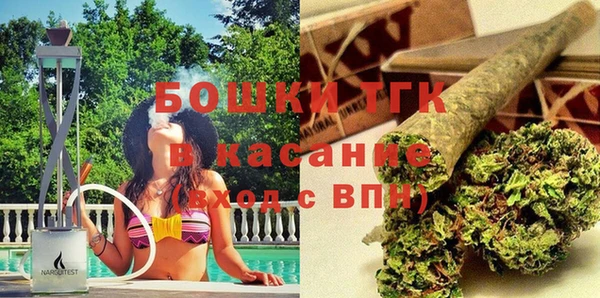 спайс Покачи